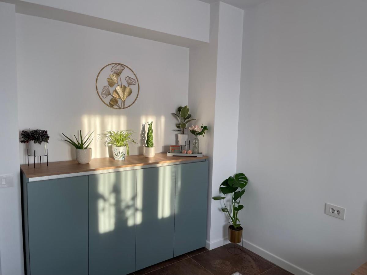 Talida's apartment colorful&brightnes Oradea Exterior foto